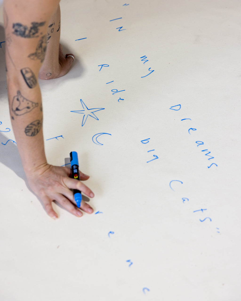 In My Dreams I Ride Big Cats