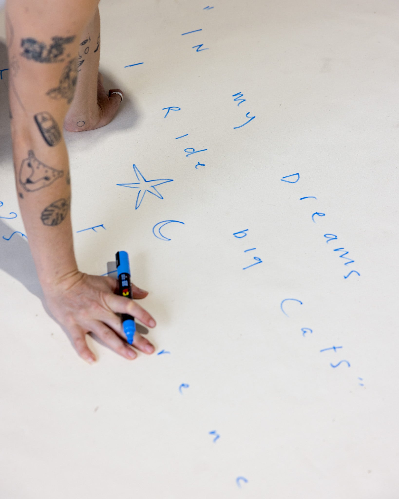 In My Dreams I Ride Big Cats